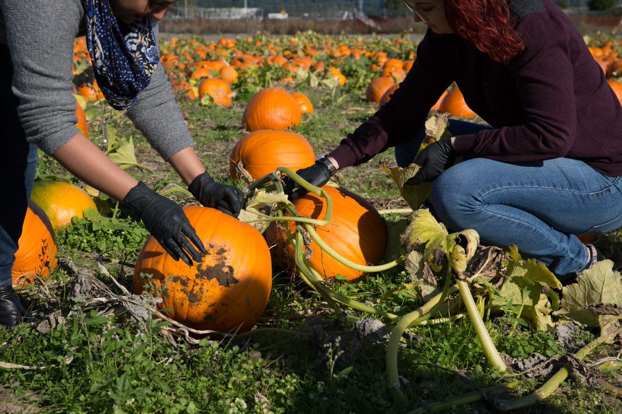 Halloween Treats from Around the World